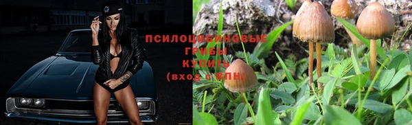 мет Алексин