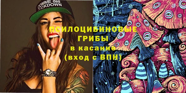 стаф Алексеевка