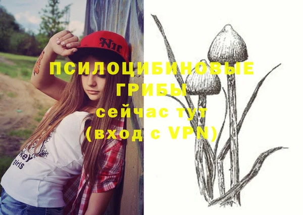 стаф Алексеевка