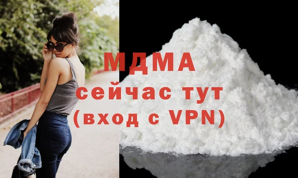 мет Алексин