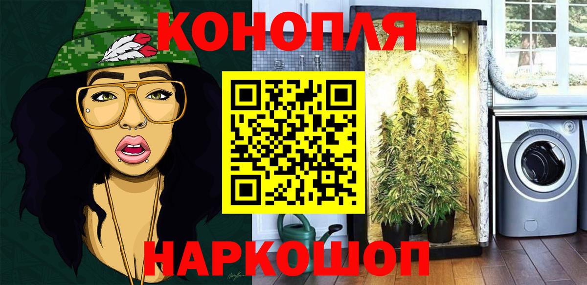 Богданович  Бошки марихуана марихуана  Бошки Шишки White Widow  Конопля марихуана  Вход с VPN 